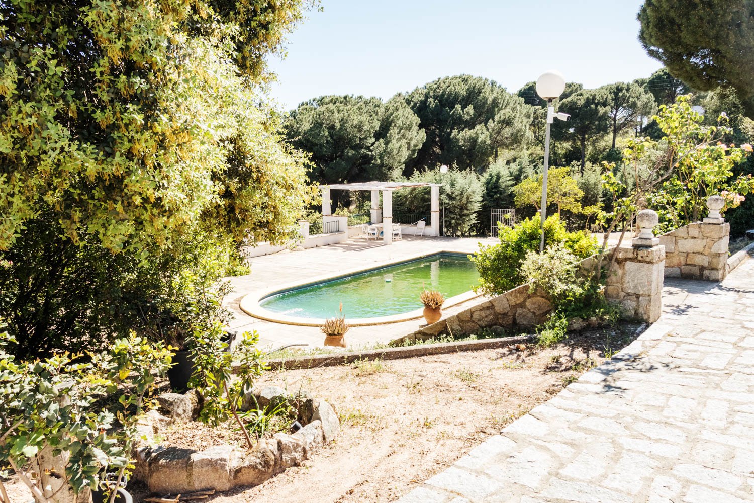 Piscina y jardín del alojamiento Gato Clavo