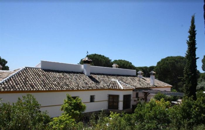 Alojamiento Gato Clavo: casa principal del cortijo