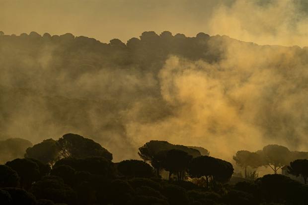 Paisaje de Sierra de Andújar: niebla entre encinas
