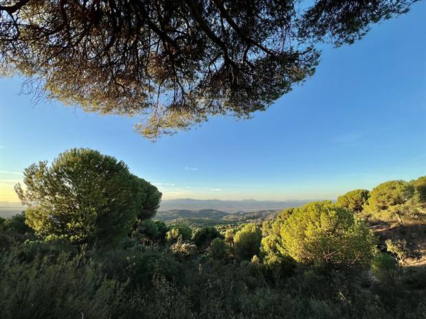 Paisaje de Sierra de Andújar: panorámica verde