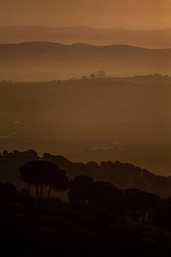 Paisaje de Sierra de Andújar: perfiles de niebla