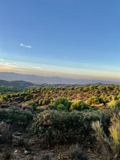Paisaje de Sierra de Andújar: valle azul