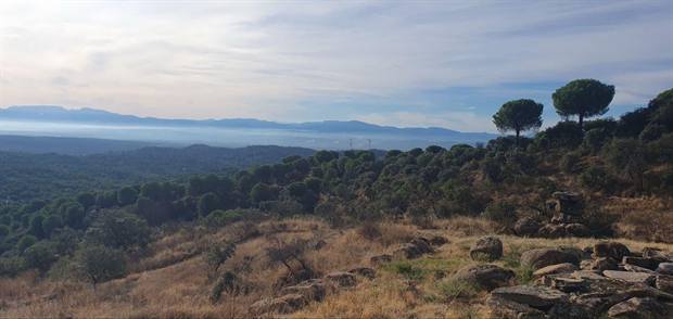 Paisaje de Sierra de Andújar: valle de sierra de andújar